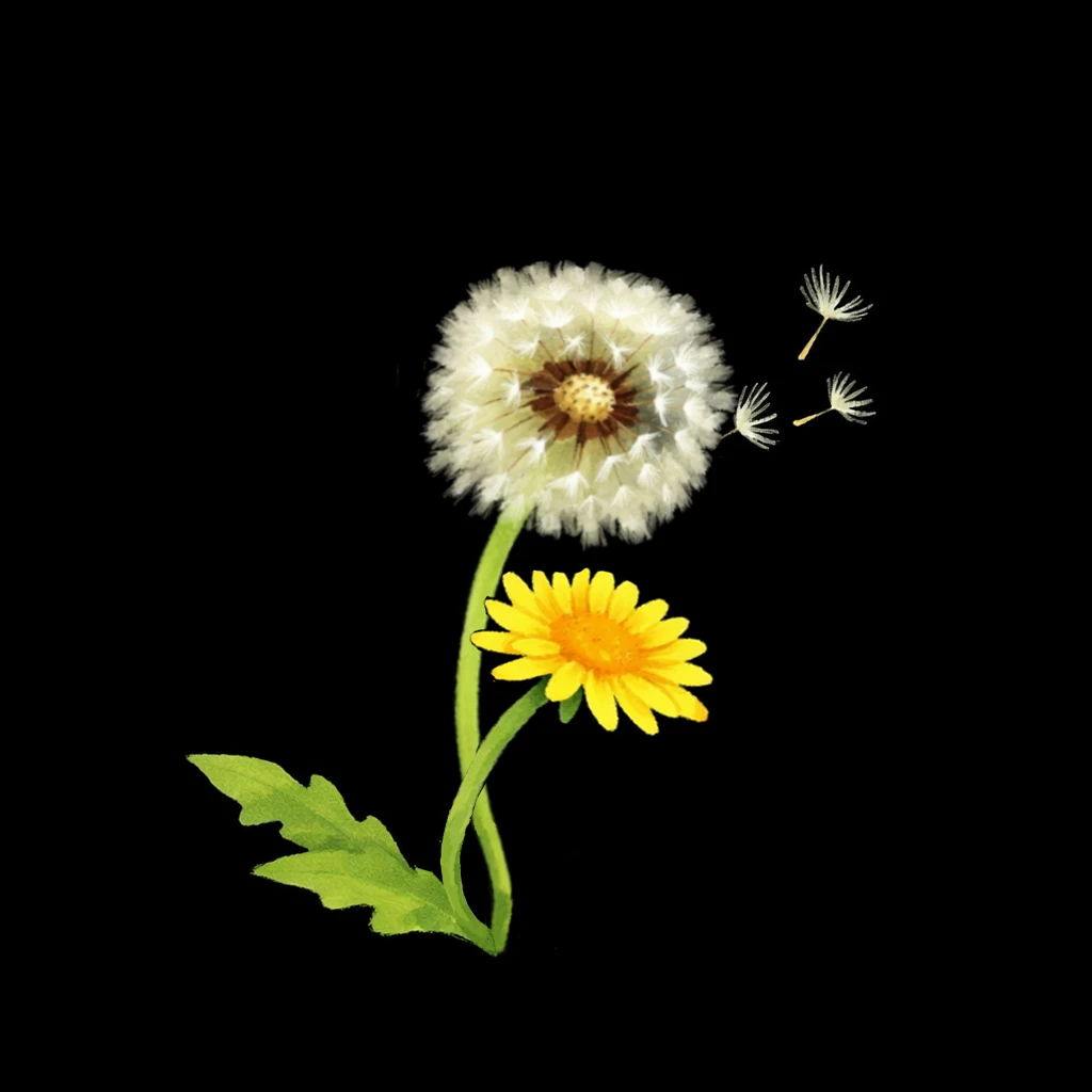 Our hand-painted dandelion logo, with a yellow flower and three floating seeds.